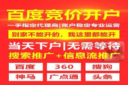 某行业SEM主管的优化策略与成果展示